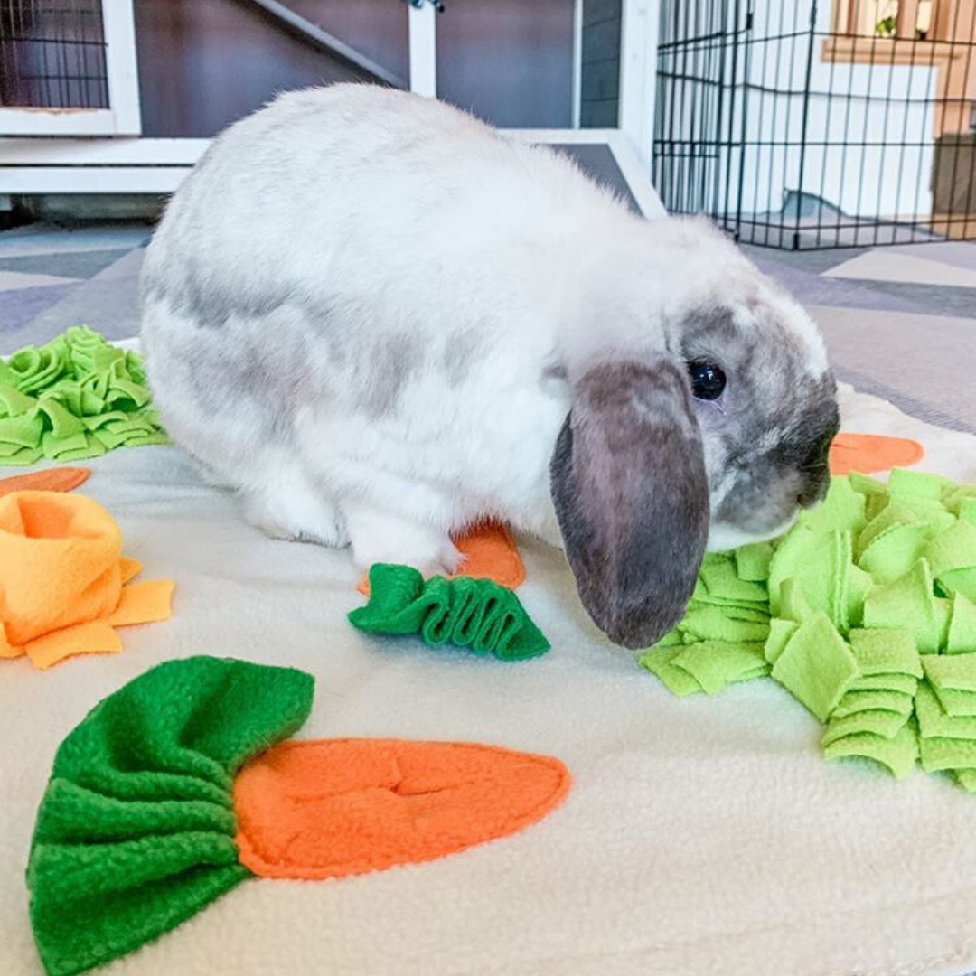 Tokihut Veggie Foraging Mat™