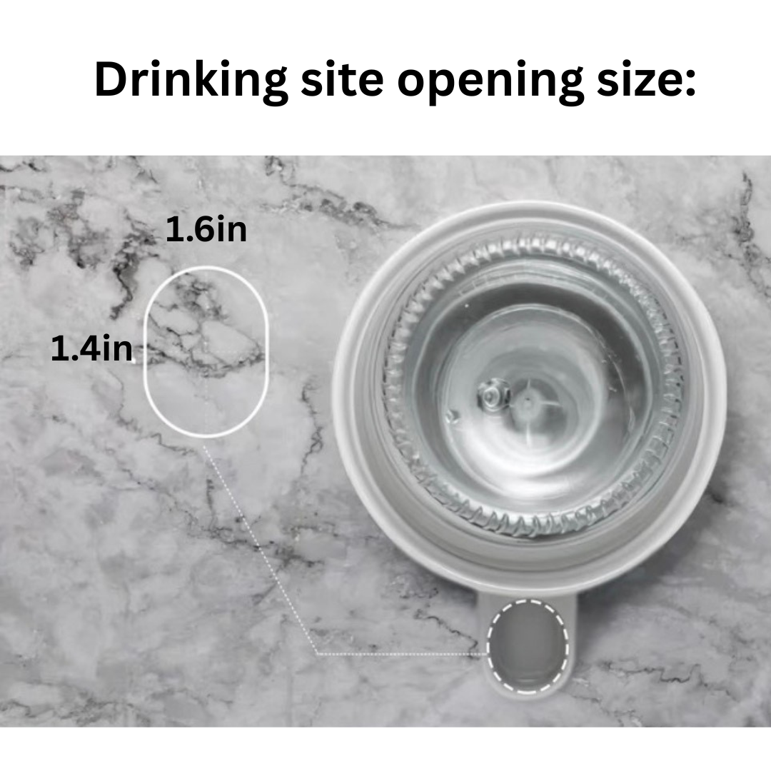 Rabbit Ceramic/Glass Water Dispenser