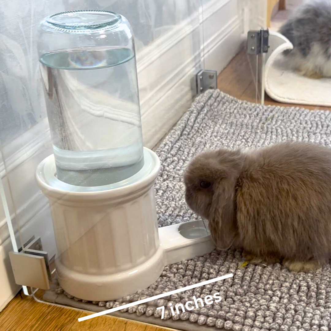 Rabbit Ceramic/Glass Water Dispenser