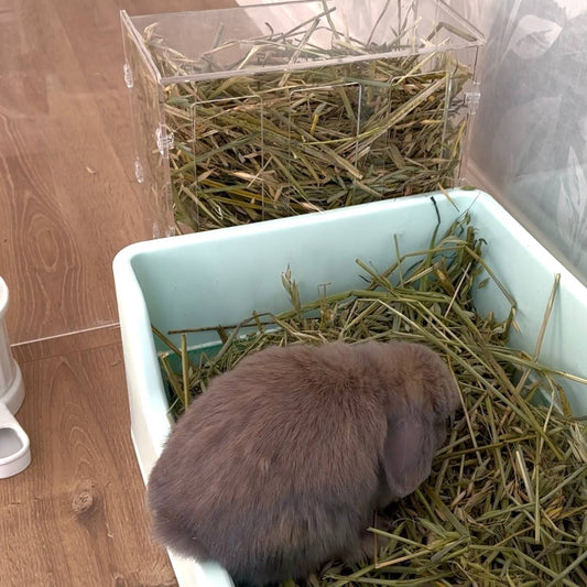 Rabbit Acrylic Hay Feeder