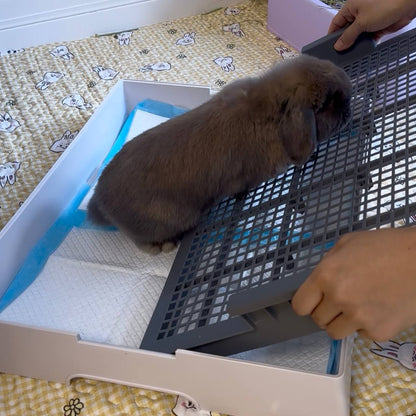 XL Flat Litterbox