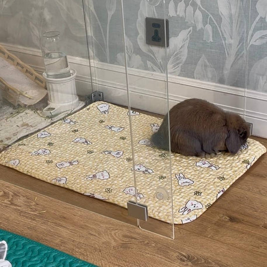 4-PACK washable non-slip floor mats