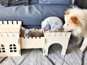 TokiHut Wooden Rabbit Castle and Bridge Set™