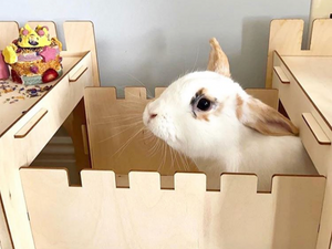 TokiHut Wooden Rabbit Castle and Bridge Set™