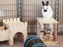 Load image into Gallery viewer, TokiHut Wooden Rabbit Castle and Bridge Set™