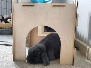 TokiHut Wooden Rabbit Castle and Bridge Set™