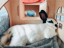 Load image into Gallery viewer, TokiHut Wooden Rabbit Castle and Bridge Set™