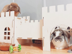 TokiHut Wooden Rabbit Castle and Bridge Set™