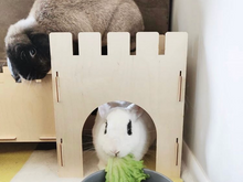 Load image into Gallery viewer, TokiHut Wooden Rabbit Castle and Bridge Set™