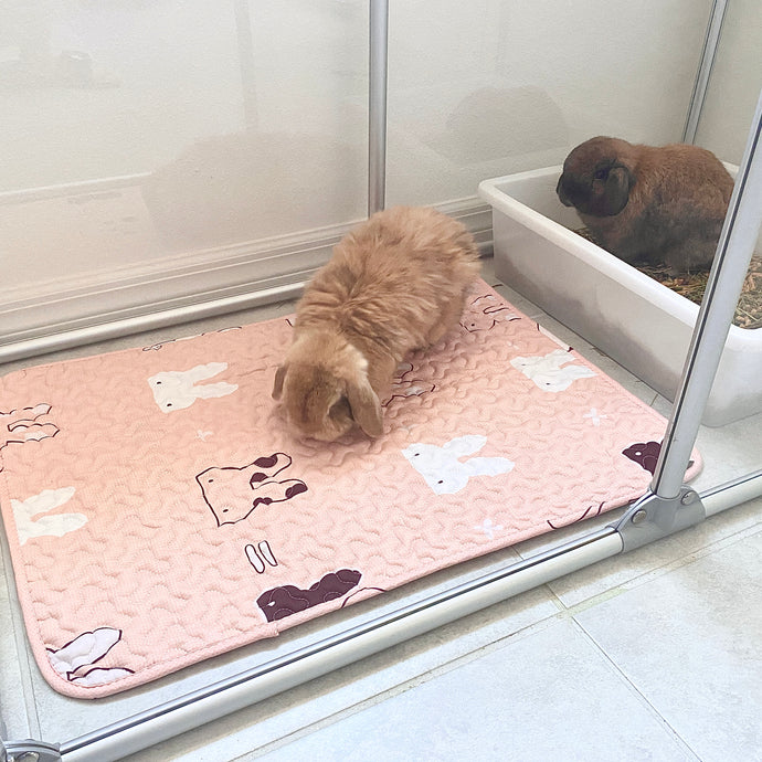Tokihut Washable Pet Mat