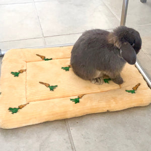 Tokihut Washable Large Padded Pet Rabbit Bunny Mat Bed