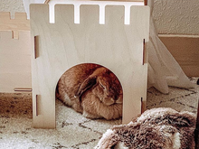 Load image into Gallery viewer, TokiHut Wooden Rabbit Castle and Bridge Set™