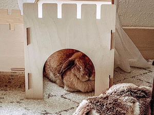 TokiHut Wooden Rabbit Castle and Bridge Set™
